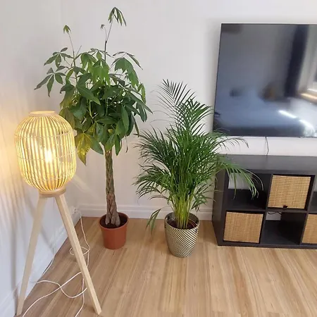 Appartement Entiers - Centre De *