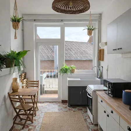 Appartement Entiers - Centre De Doornik