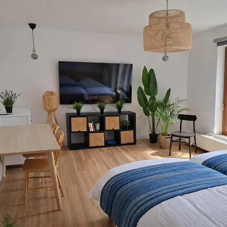 Appartement Entiers - Centre De *