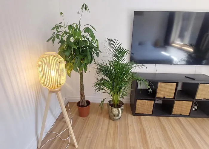 Appartement Entiers - Centre De *