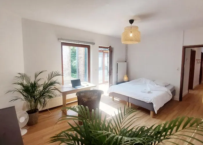 Appartement Entiers - Centre De