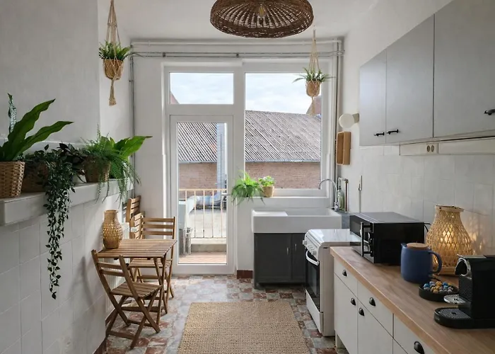 Appartement Entiers - Centre De Doornik